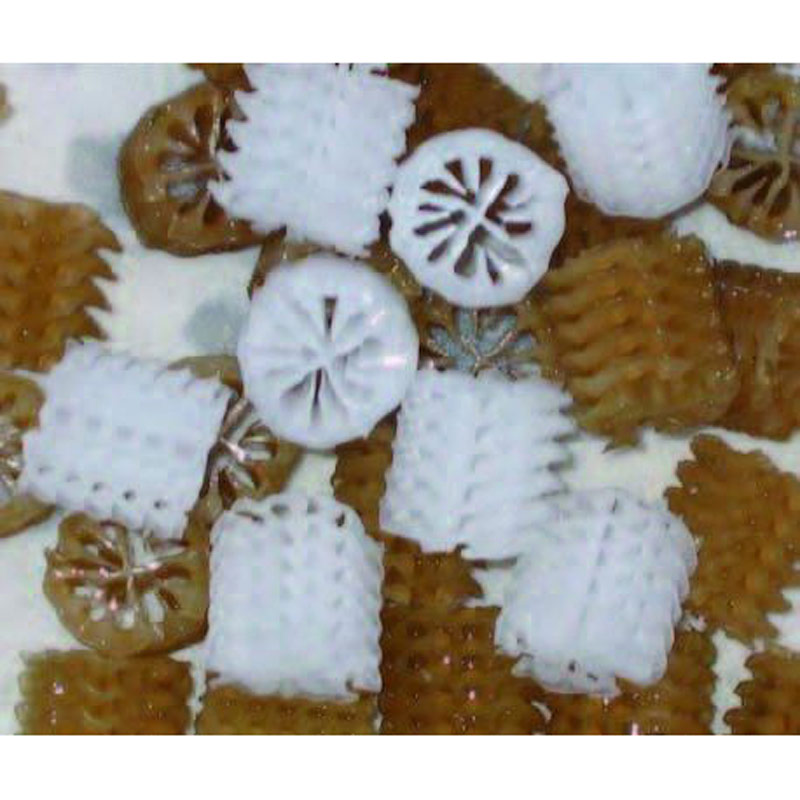AquaForte Bio Carrier type Helix