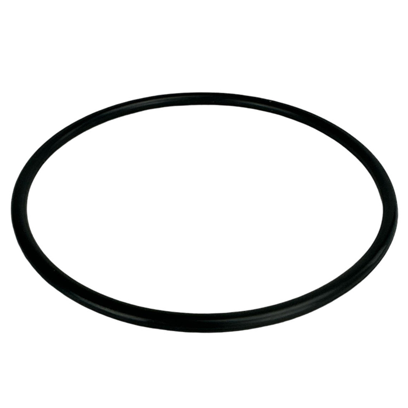 AquaForte O-ring voor deksel Inverpro VS IP30 zwembadpomp