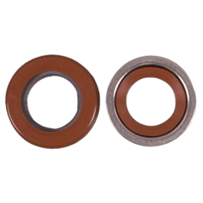 AquaSphere/Aquaforte mechanische seal voor IVS zwembadpomp