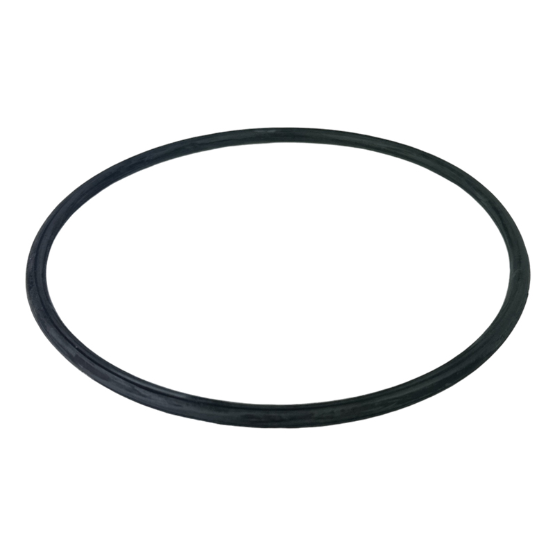 AquaForte/Aquasphere O-ring voor deksel IVS zwembadpomp