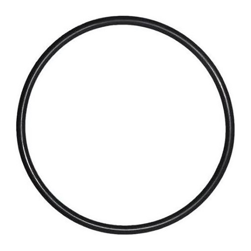AstralPool O-ring voor deksel Astral Cantabric filter