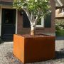 ADEZZ Cortenstaal plantenbak Carrez 200 x 100 x 80 cm sfeer