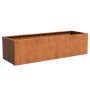 ADEZZ Cortenstaal plantenbak Carrez 300 x 100 x 80 cm