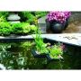 Drijvend planten eiland vierkant 35cm in het water