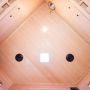 France Apollon infrarood sauna plafond
