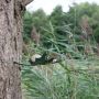 Heeej Leaf Me vogelvoederschaal groen sfeerbeeld