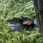 Heeej Leaf Me vogelvoederschaal groen sfeerbeeld
