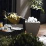 Oase Schuimbron 35 - 10 E voorbeeld in pot