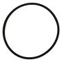 Speck O-ring voor deksel Badu Magic zwembadpomp