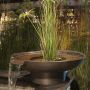 Velda Pond Filter Bowl | Ø 75 x 35 cm