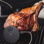 Witt CookPerfect Comfort 2.0 kern temperatuurmeter (incl. app) in gebruik