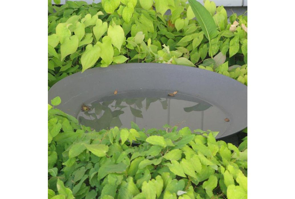 ADEZZ waterschaal in de tuin