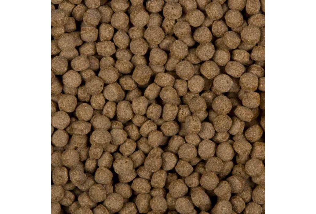 Velda SaniKoi All Season Wheat Germs | 1300 gram