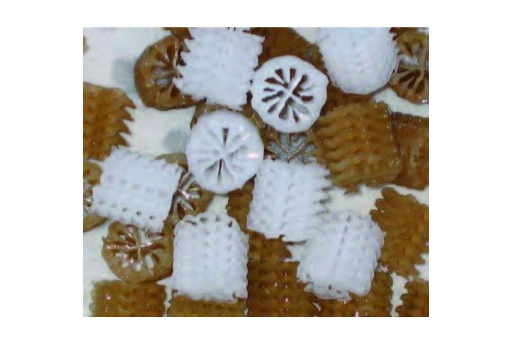 AquaForte Bio Carrier type Helix