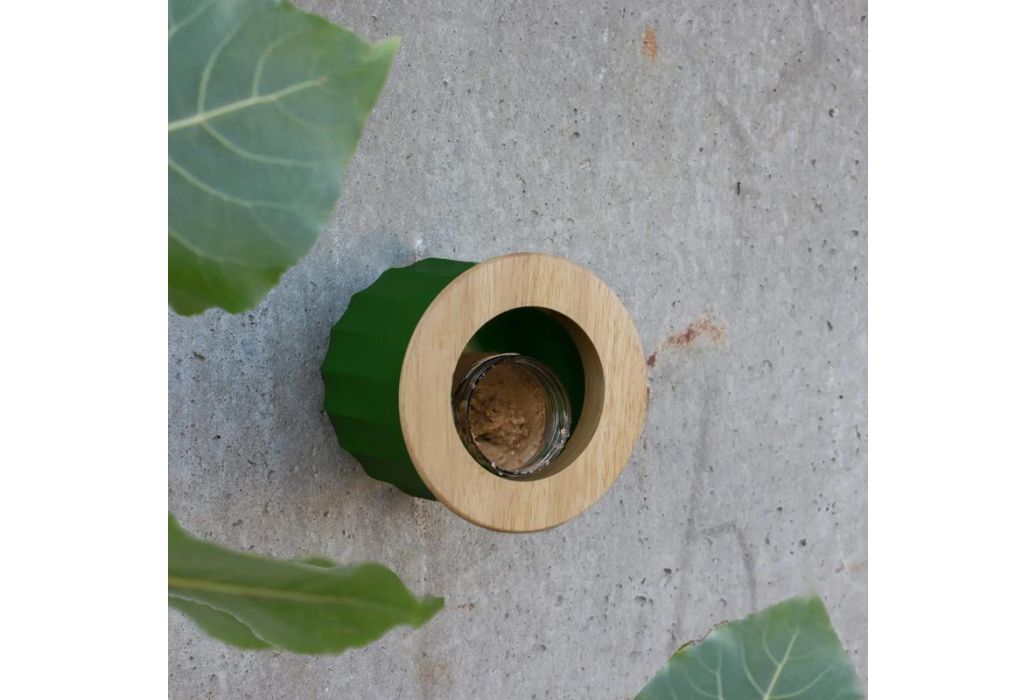 Cactus wand vogelvoederhuisje groen sfeerbeeld