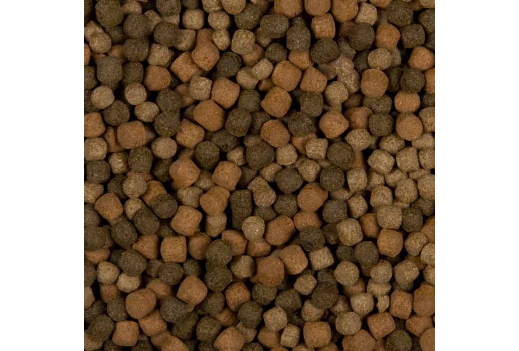 Velda SaniKoi Colour Hi-Grow Mix | 1600 gram
