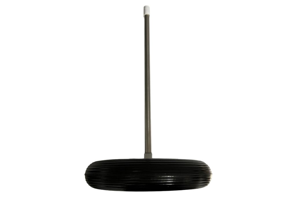Delphin zwembad thermometer boei zijkant