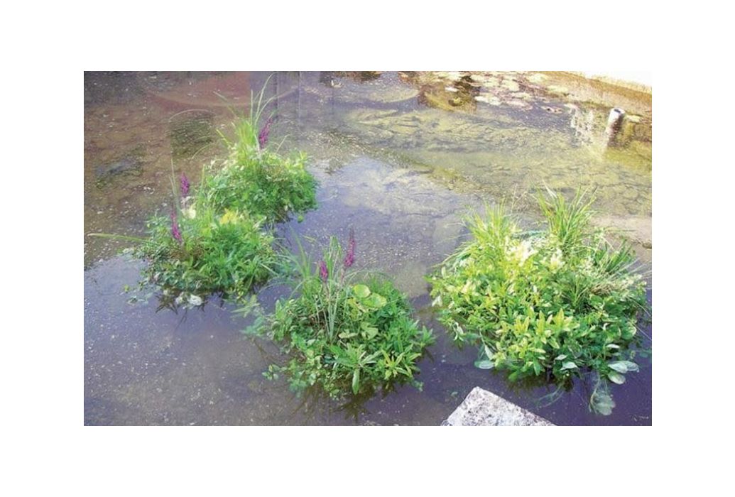 Drijvend planteneiland / phytofilter 41cm in het water