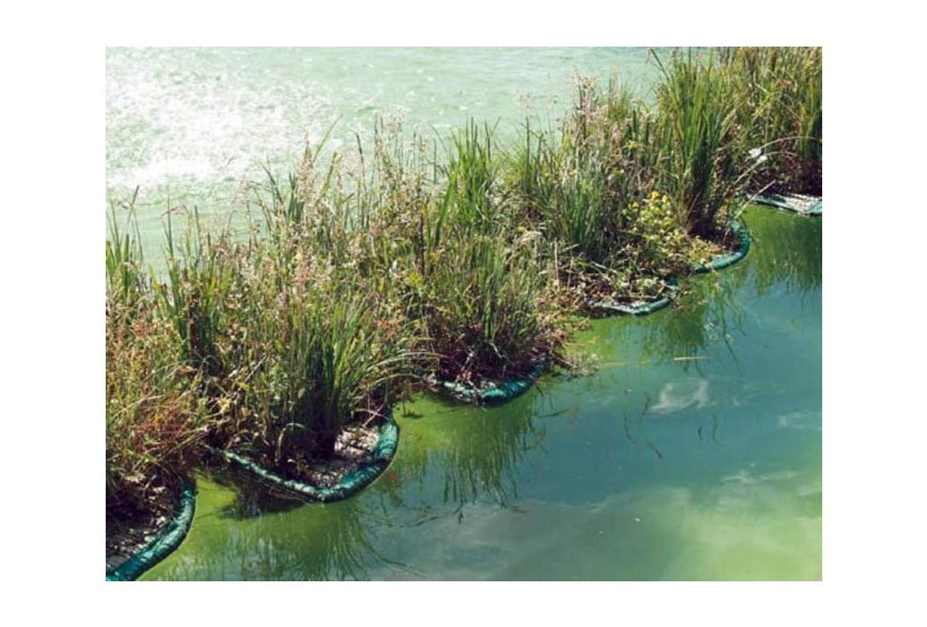 Drijvend planteneiland / phytofilter 41cm op een rij