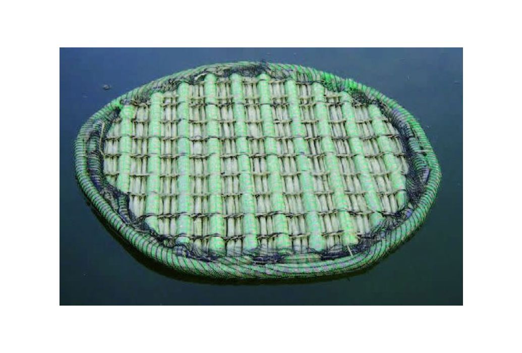 Drijvend planteneiland / phytofilter 41cm