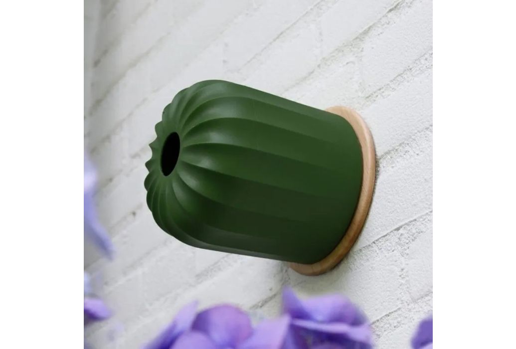 Cactus wand vogelvoederhuisje groen sfeerbeeld