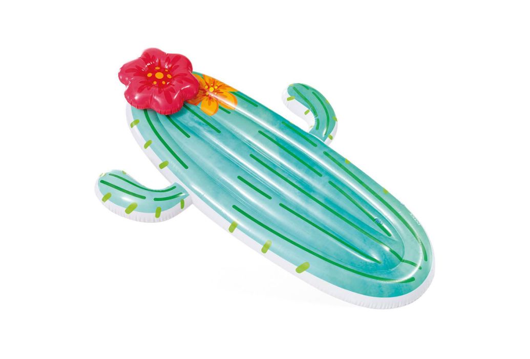 Intex Cactus luchtbed