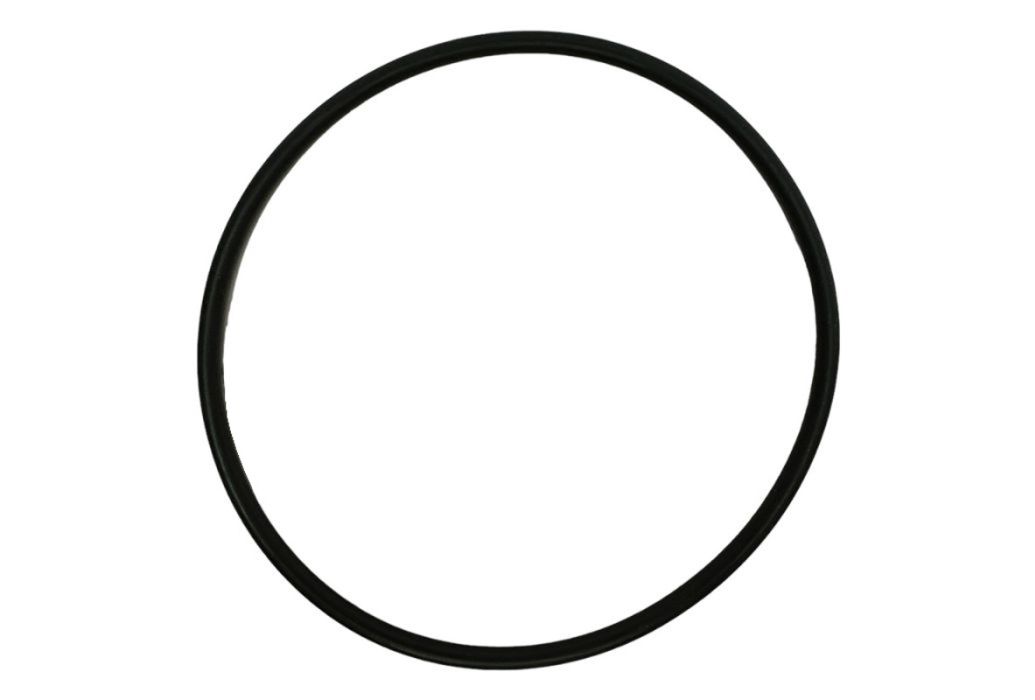 Speck O-ring voor deksel Badu Magic zwembadpomp