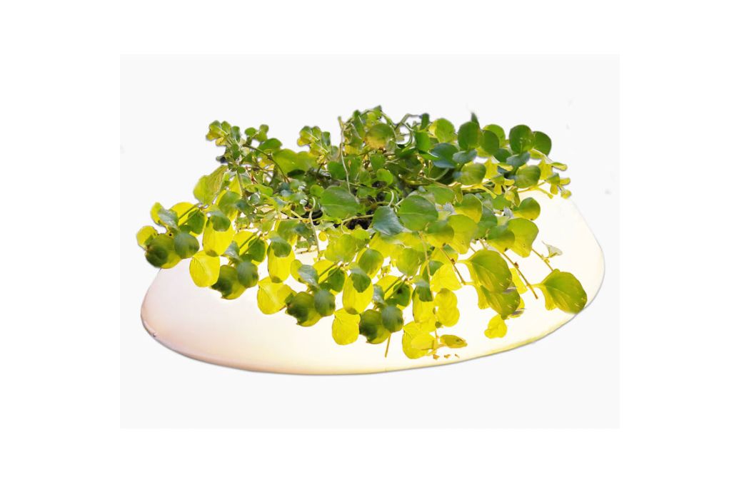 Velda Floating Pond light sfeer