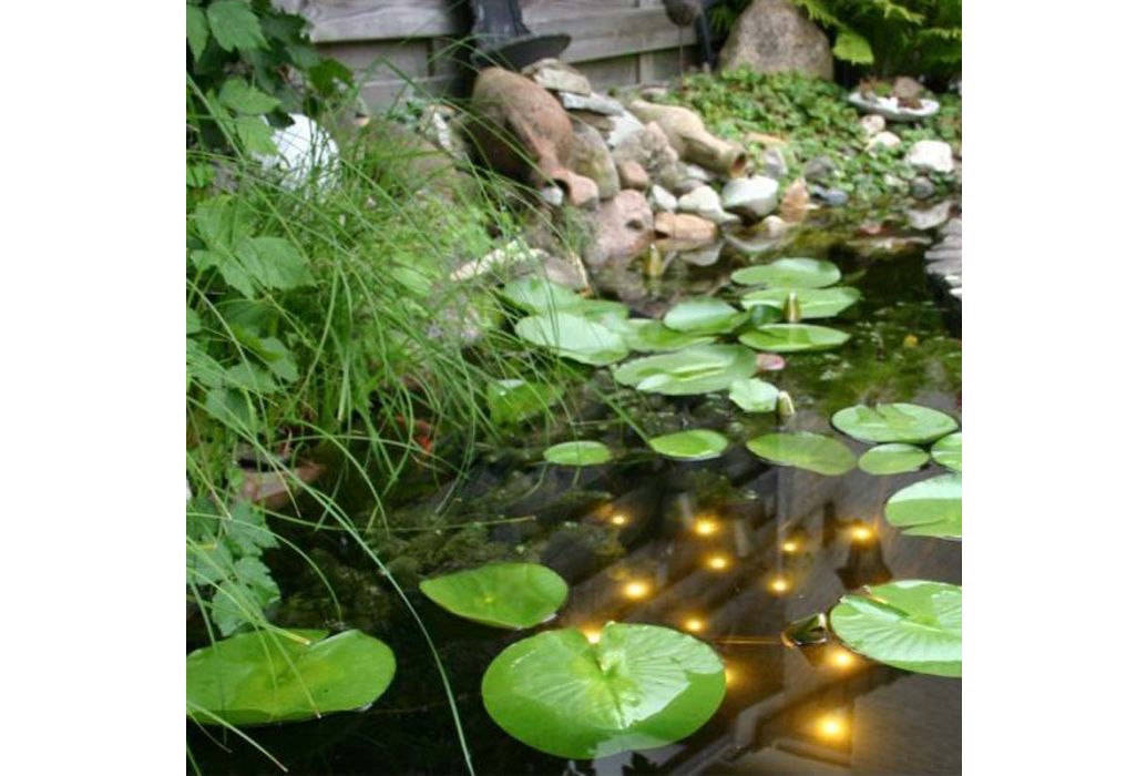 Velda Welkin vijververlichting in vijver