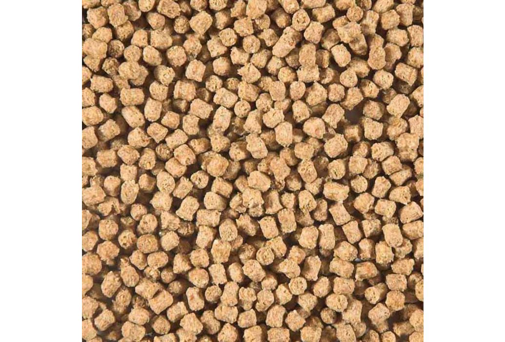 SaniKoi Winter Wheat Germs 1800 gram inhoud