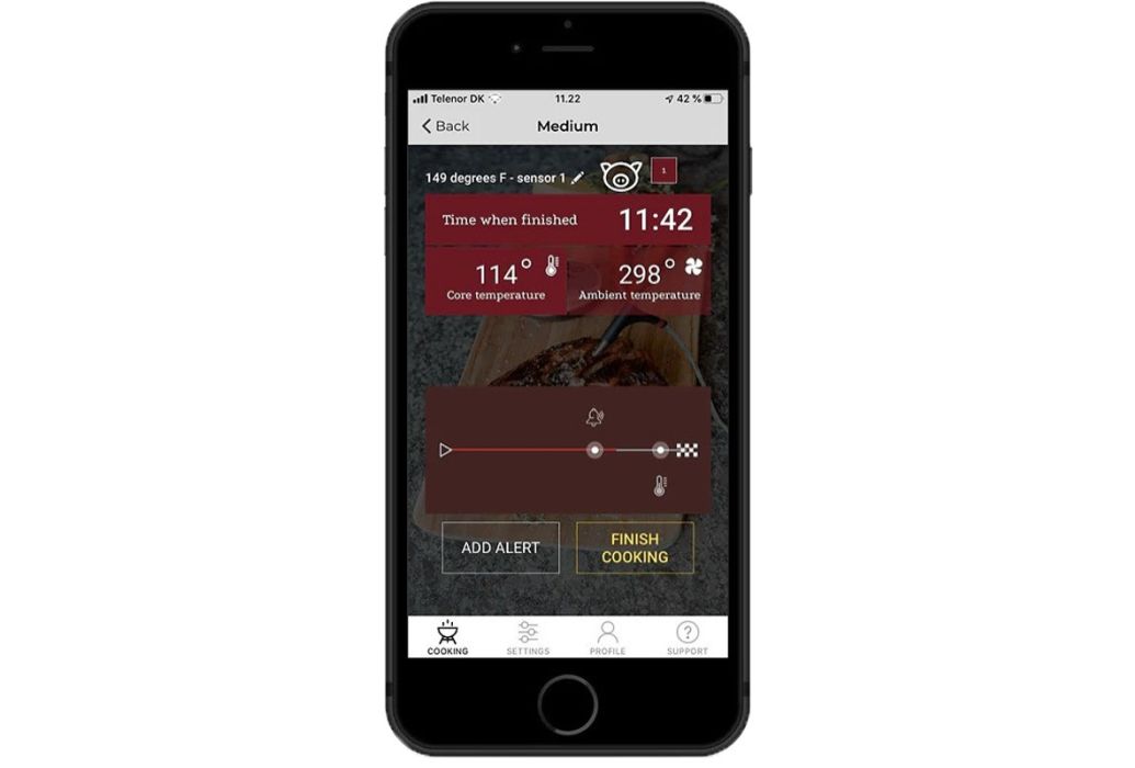 Witt CookPerfect draadloze duo kern temperatuurmeter (incl. app) voorbeeld app