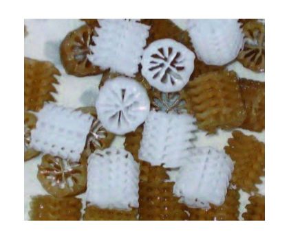 AquaForte Bio Carrier type Helix