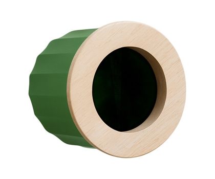 Cactus wand vogelvoederhuisje groen productfoto