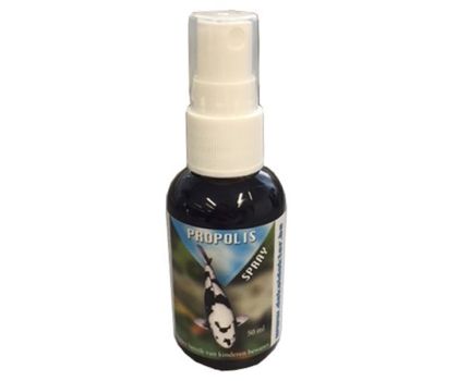 De Koidokter Propolis spray 50ml