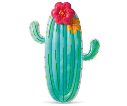 Intex Cactus luchtbed