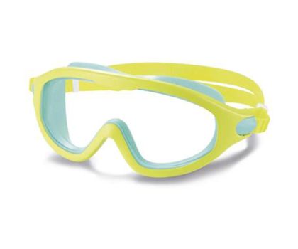 Intex Swim duikbril Groen-Blauw kopen?