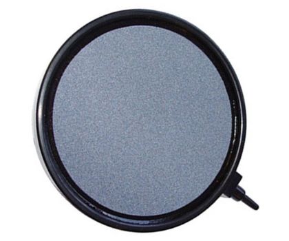 AquaForteLuchtsteen disk 13 cm Budget