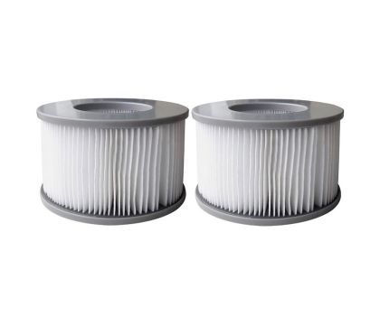 MSpa spa filter 2-pack (vanaf 2020)