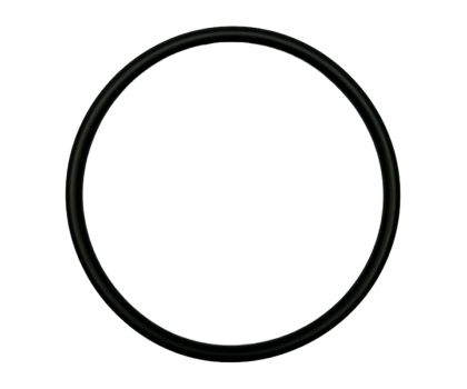Pentair O-ring voor pompdeksel van Freeflo