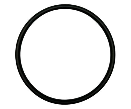 Poolex Turbo Salt O-ring