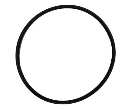 Speck O-ring voor deksel Badu Magic zwembadpomp