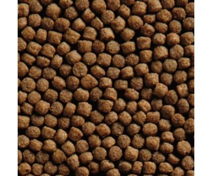 Wheat Germ 3mm 6kg