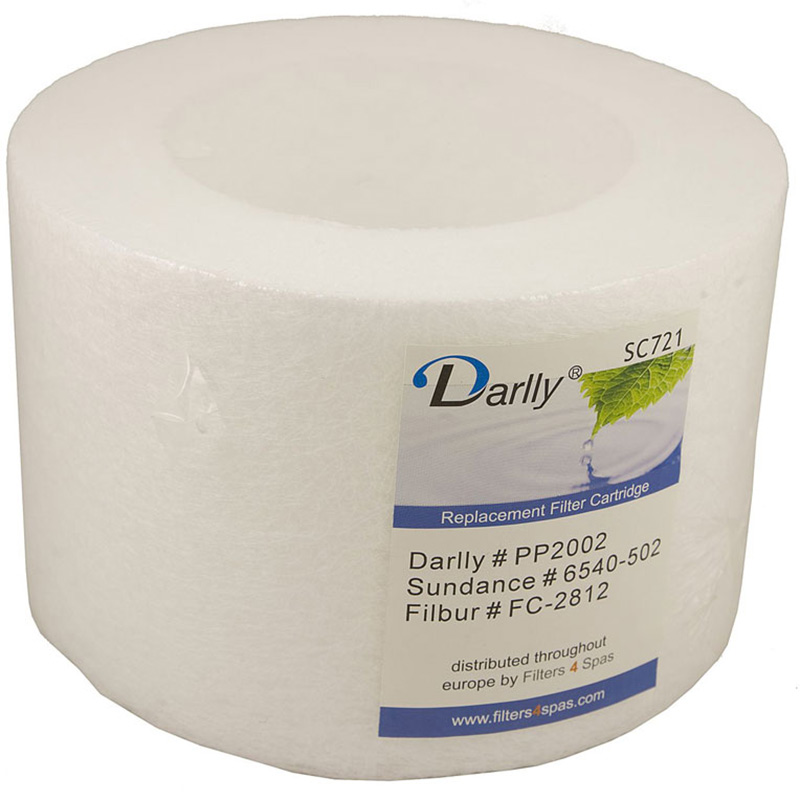 Darlly spa filter SC721
