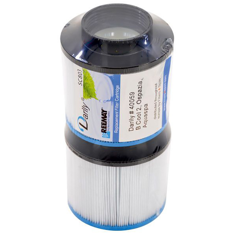 Darlly spa filter SC803 (duopack)