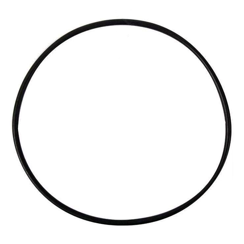 Hayward O-ring voor filtervat (Pro en Ardeche serie)