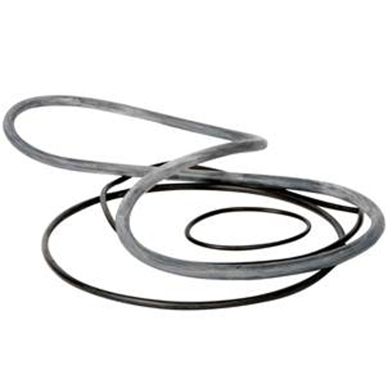 Hozelock O ring set Bioforce Revolution