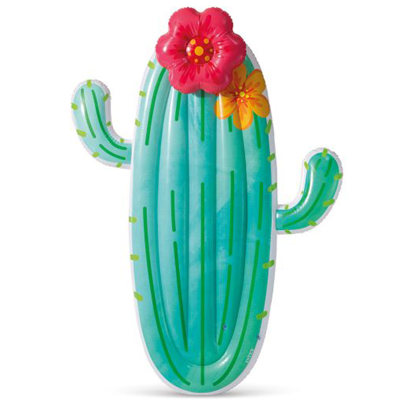 Intex Cactus luchtbed