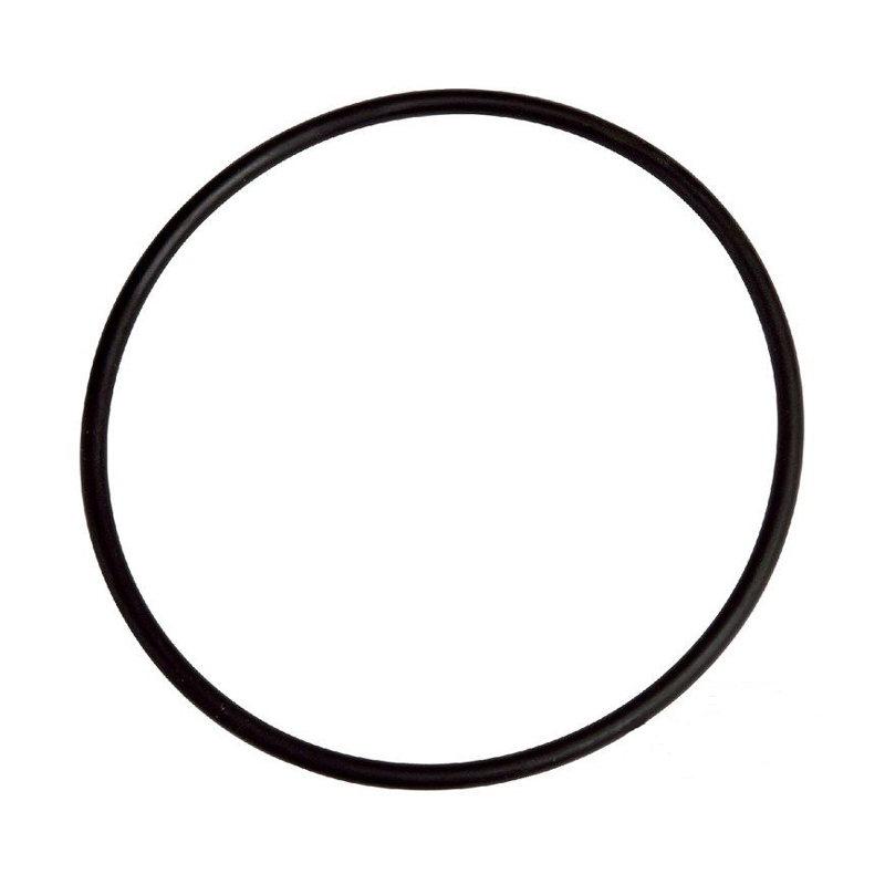 Kripsol O-ring voor deksel KS zwembadpomp