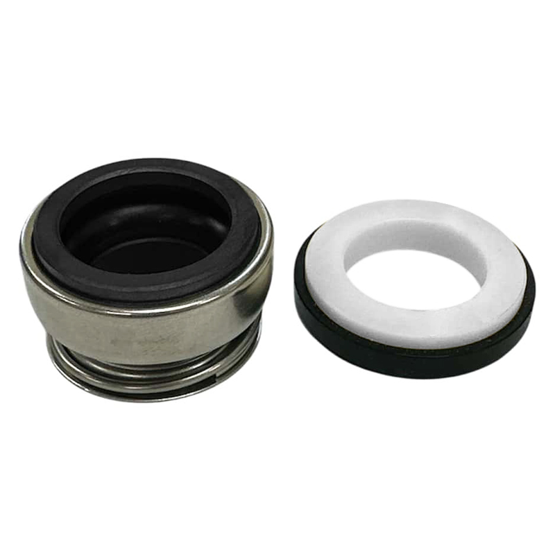 PPG mechanische seal set voor Deluxe VS pomp
