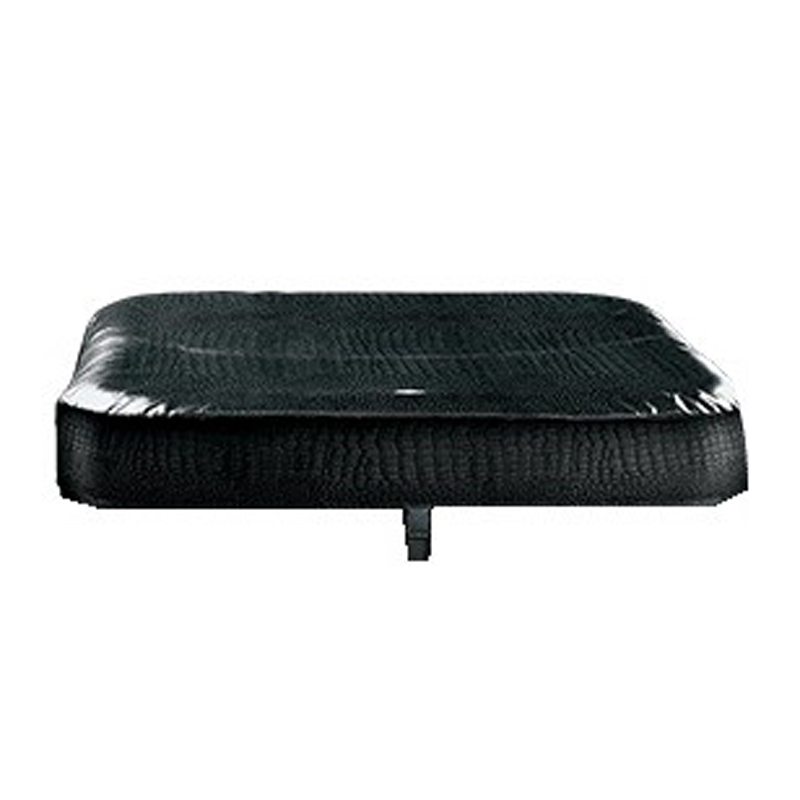NetSpa Caïman cover